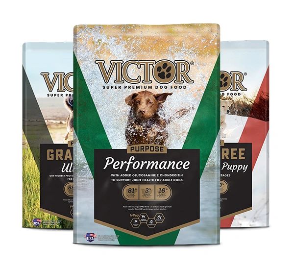 VICTOR Purpose: A Great High Protein Dog Food for Sporting Dogs